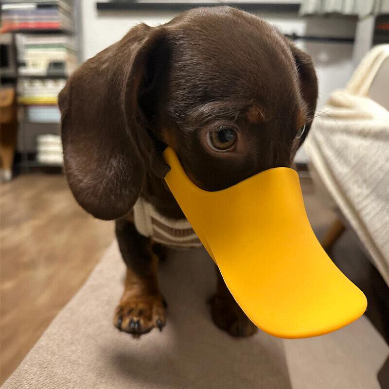 Dog Muzzle Silicone - Focinheira de Silicone em Formato de
