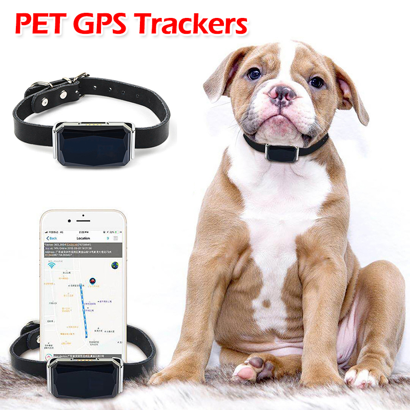 Pet Gps Tracker Collar - Localizador GPS para Animais de Estimação