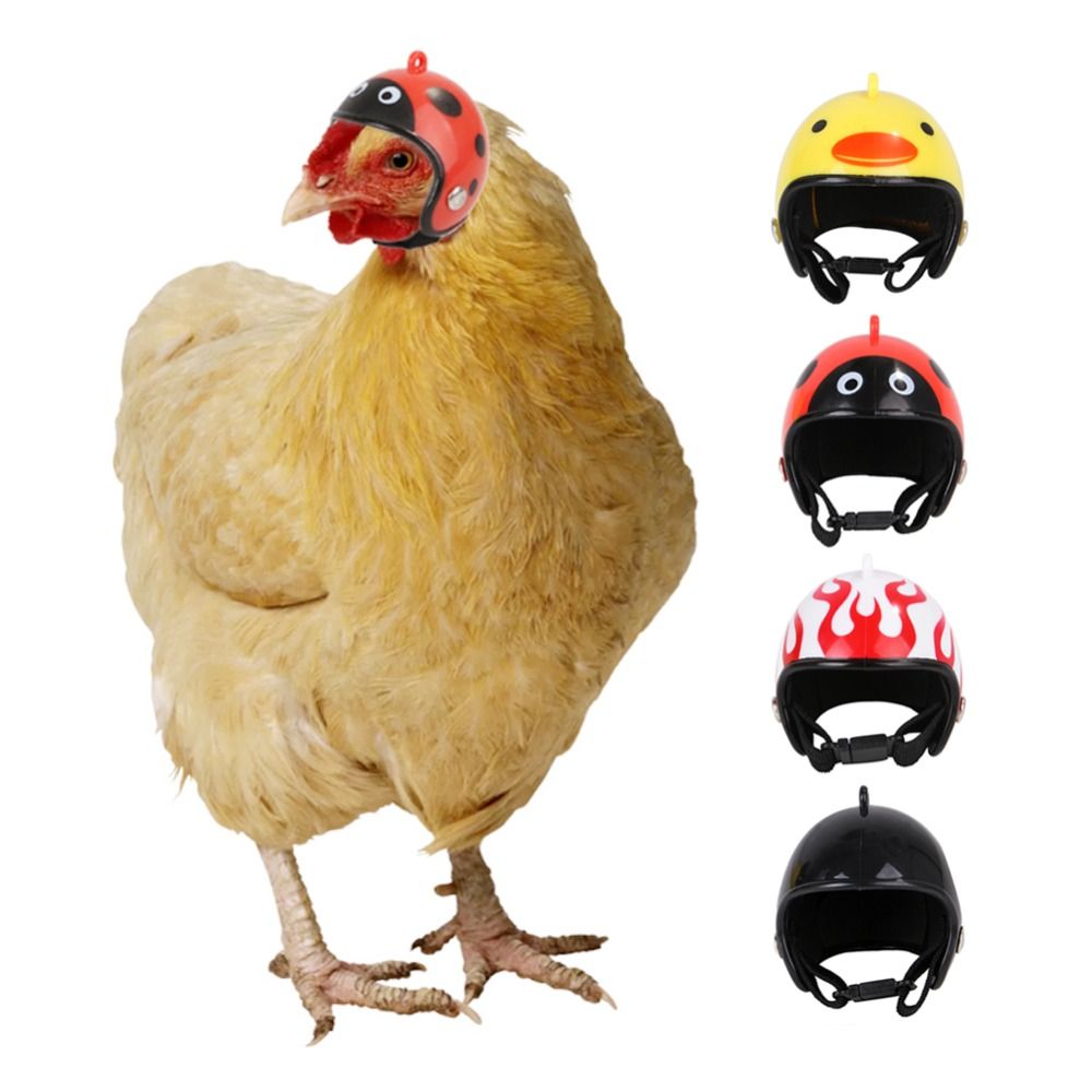 Pet X Supplies & Tack - Capacete Protetor Divertido para Animais de