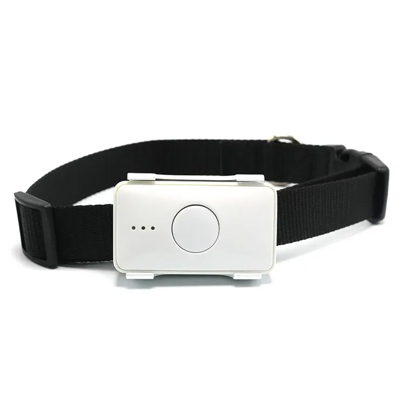 Pet Gps Tracker Collar - Dispositivo de Rastreamento GPS para Animais