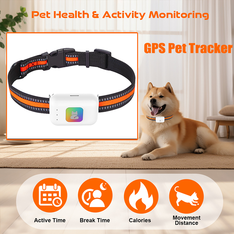 Dispositivo de rastreamento gp - Pet Gps Tracker Collar avaliação e preço