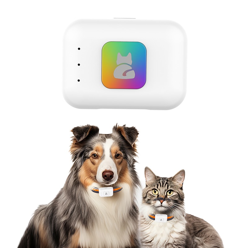 Dispositivo de rastreamento gp - Pet Gps Tracker Collar avaliação e preço