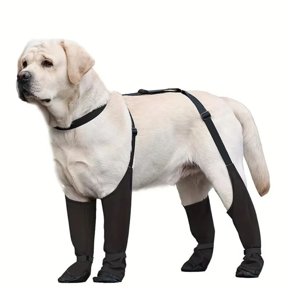 Anti-queda à prova dwaterproof - Dog Booties Paw Protector avaliação e preço