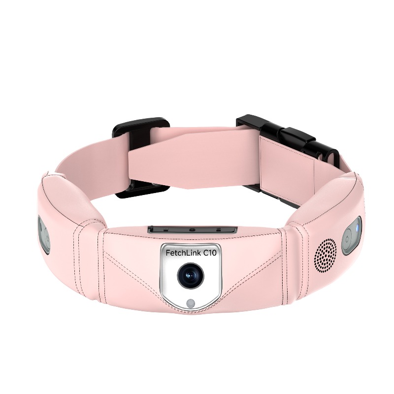 Coleira Inteligente Tudo-em-Um - Pet Gps Tracker Collar avaliação e preço