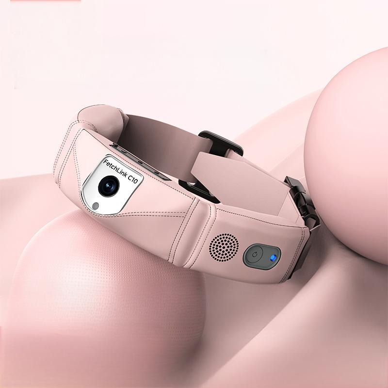Coleira Inteligente Tudo-em-Um - Pet Gps Tracker Collar avaliação e preço