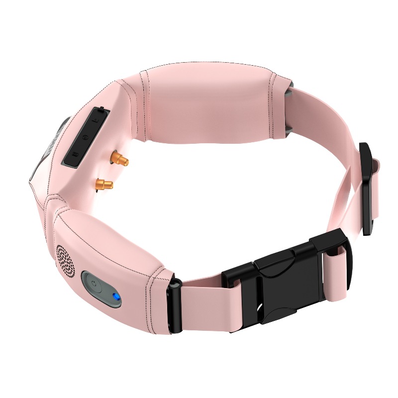 Coleira Inteligente Tudo-em-Um - Pet Gps Tracker Collar avaliação e preço