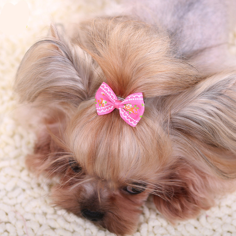 Prendedor de cabelo para cacho - Pet Supplies York avaliação e preço
