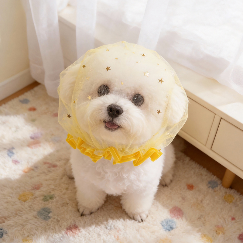 Boné Anti-Latido de Verão para - Pet Supplies York avaliação e preço