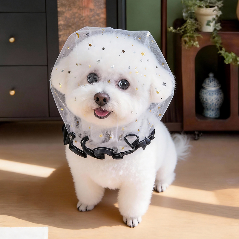 Boné Anti-Latido de Verão para - Pet Supplies York avaliação e preço