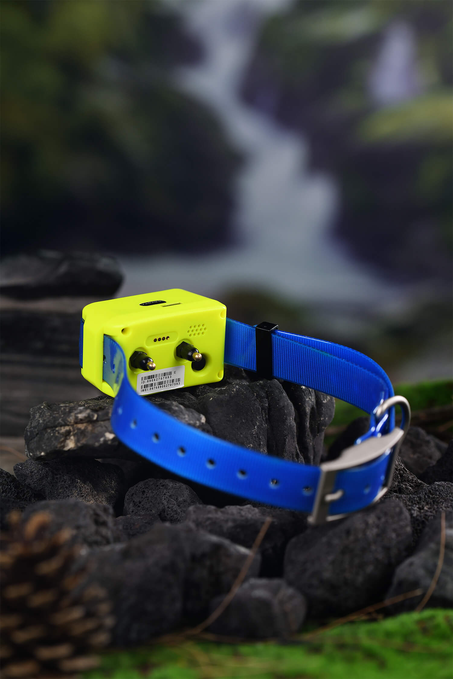 Coleira Rastreadora GPS 4G par - Pet Gps Tracker Collar avaliação e preço