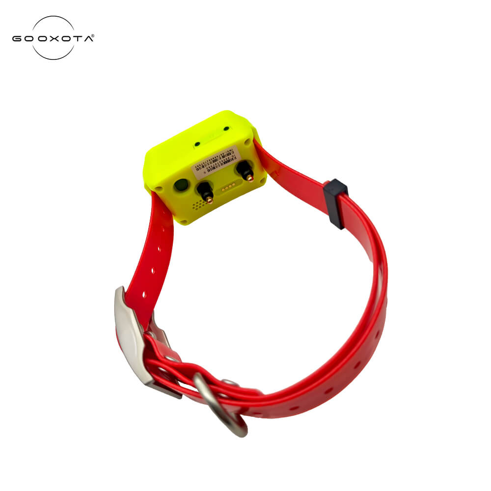 Coleira Rastreadora GPS 4G par - Pet Gps Tracker Collar avaliação e preço
