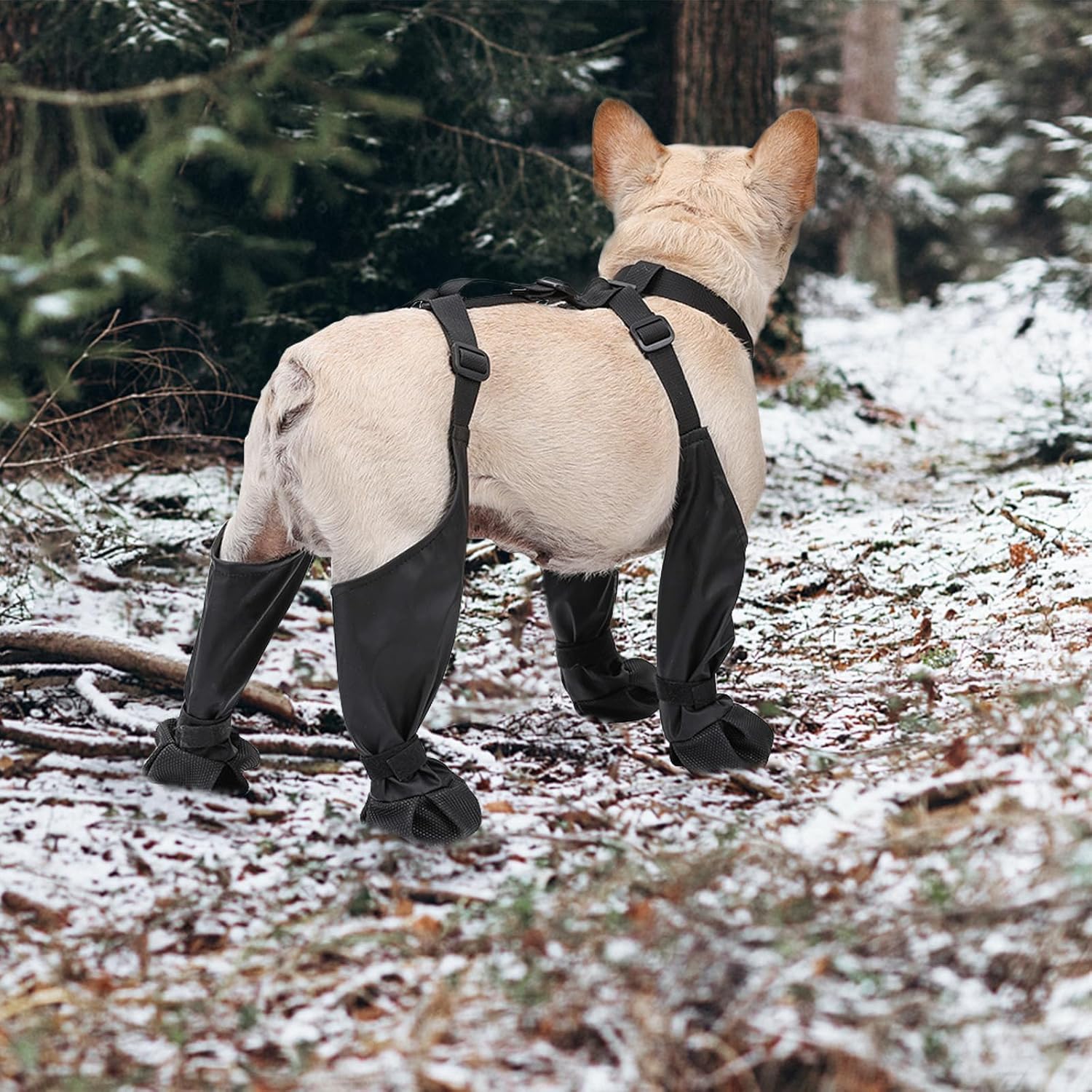 Botas suspensas para cães, à p - Dog Booties Paw Protector avaliação e preço