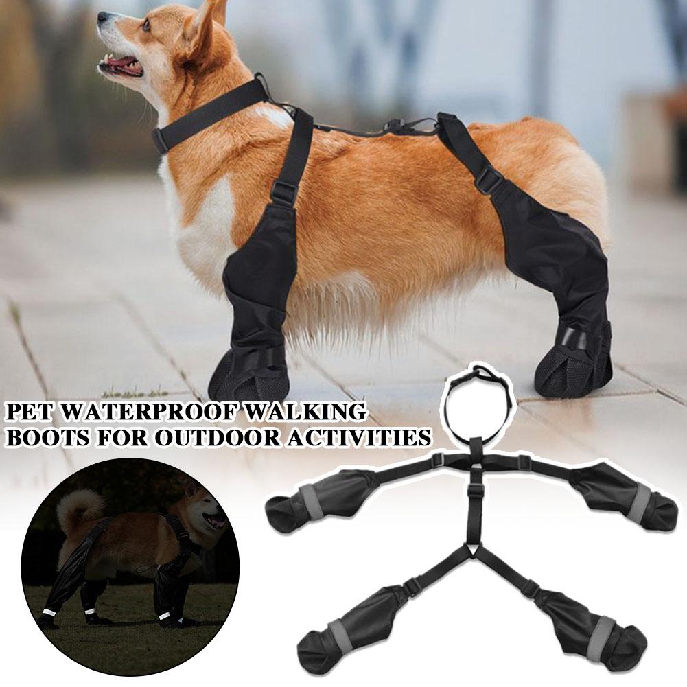 Botas Impermeáveis para Cães c - Dog Booties Paw Protector avaliação e preço