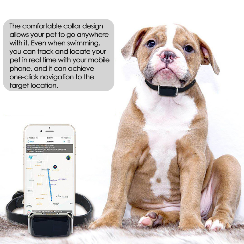 Localizador GPS para Animais d - Pet Gps Tracker Collar avaliação e preço