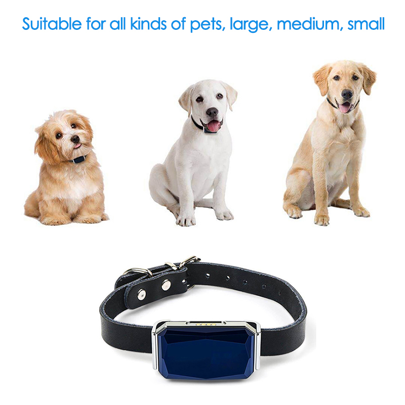 Localizador GPS para Animais d - Pet Gps Tracker Collar avaliação e preço