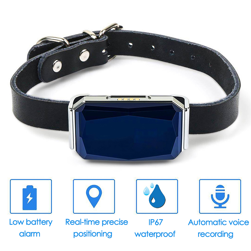 Localizador GPS para Animais d - Pet Gps Tracker Collar avaliação e preço