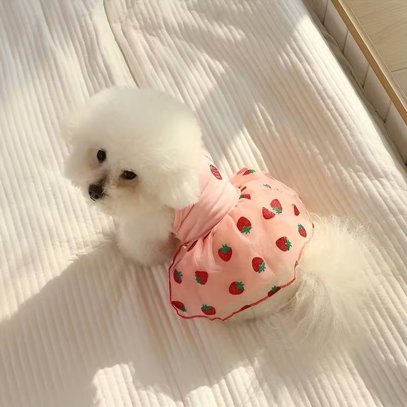 Saia Fina de Verão para Cães,  - Pet Supplies York avaliação e preço