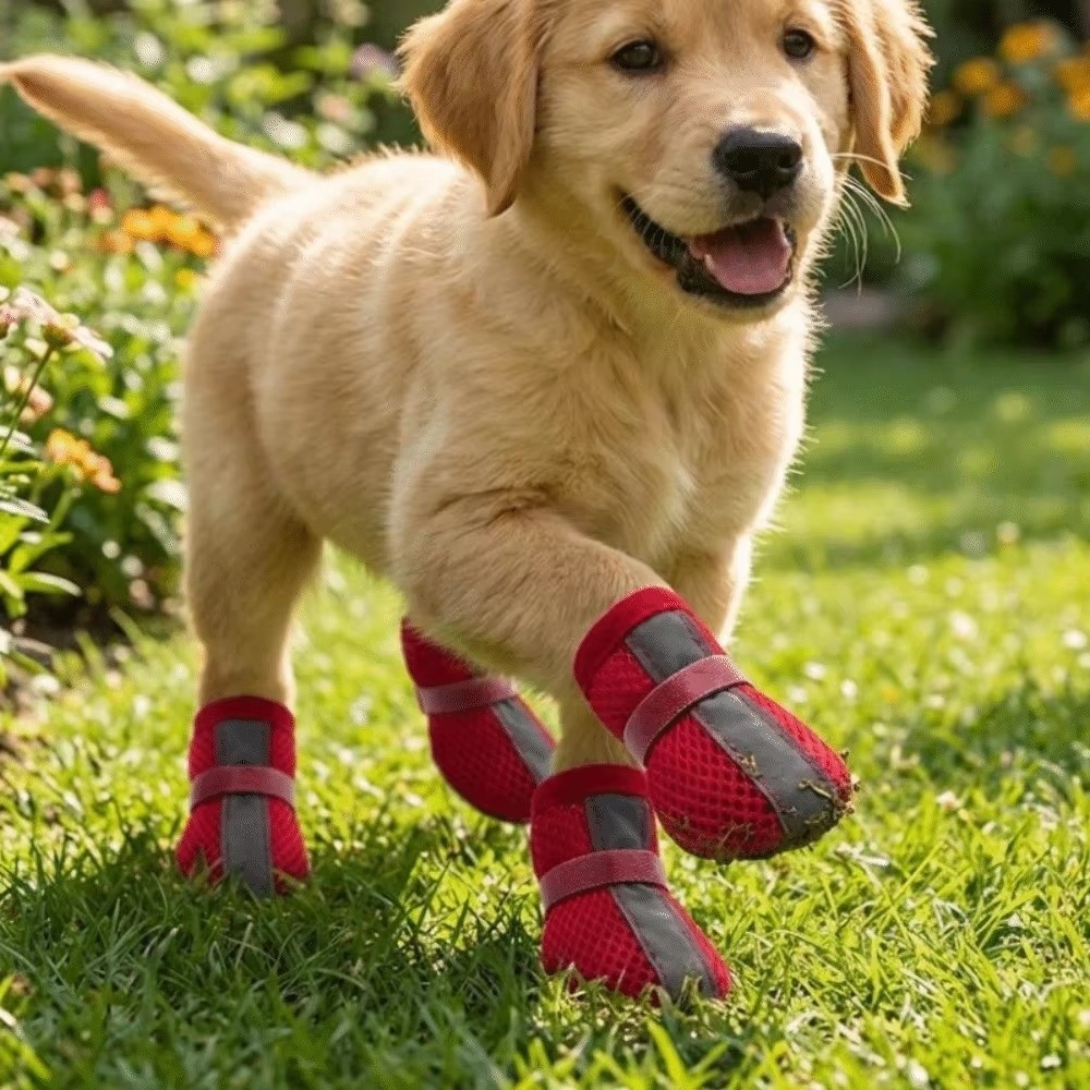 Conjunto de 4 Peças de Botas p - Dog Booties Paw Protector avaliação e preço