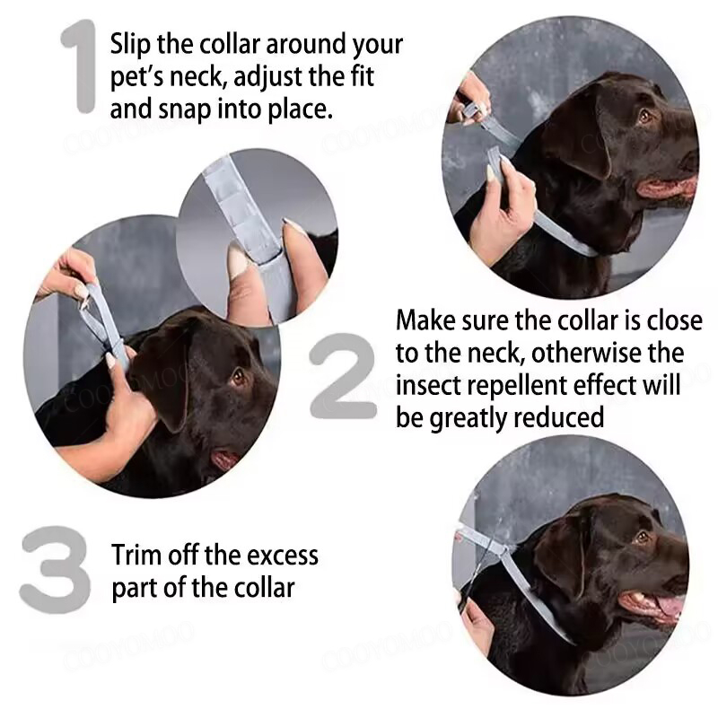 Coleiras para Cães e Gatos 72c - Dog Muzzle Silicone avaliação e preço